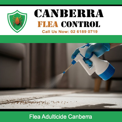 Technician using adulticide spray for effective flea removal service in Canberra residence